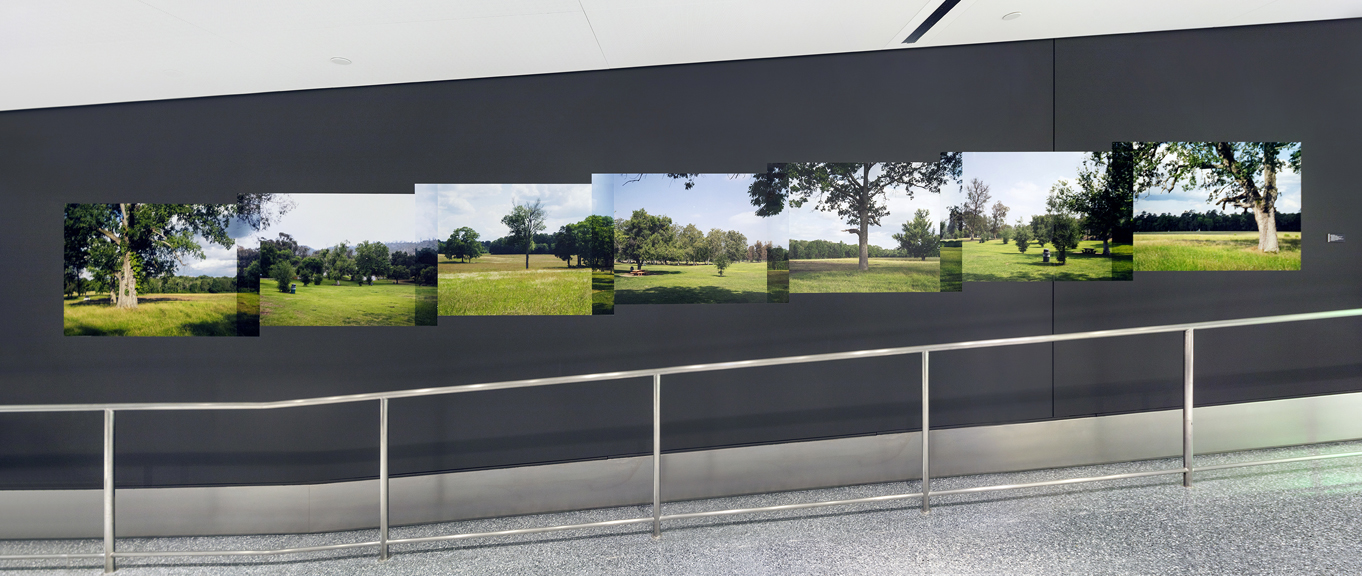 001_Panorama_trees_s