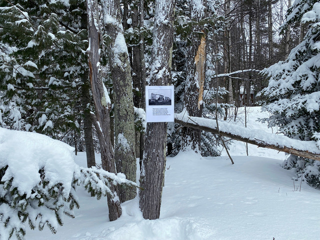 Soon to Be Beautiful Beauty