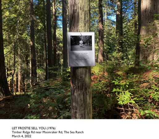 59_36_BiG_Timber Ri#1466892