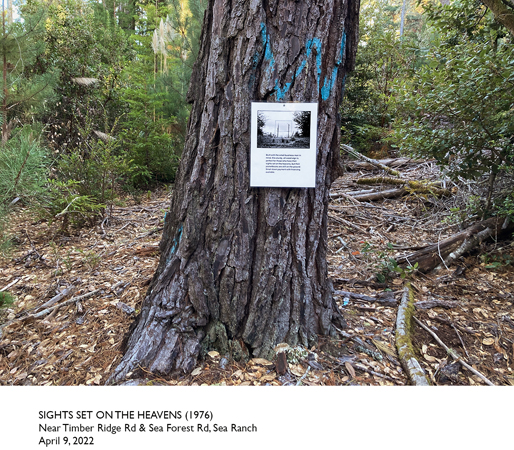 34_58_BiG_Near Timb#1466FC5