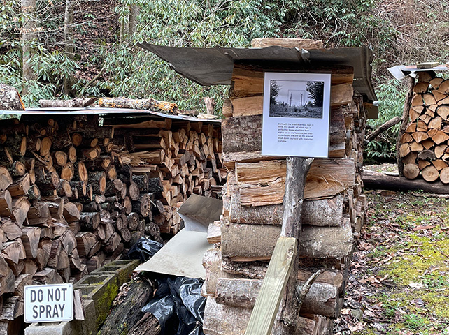 Sights Set on the Heavens