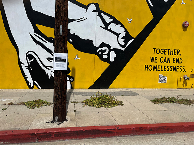 Soon To Be Successful