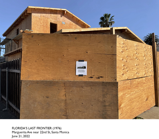 46_08_WB_Marguerita#1469751