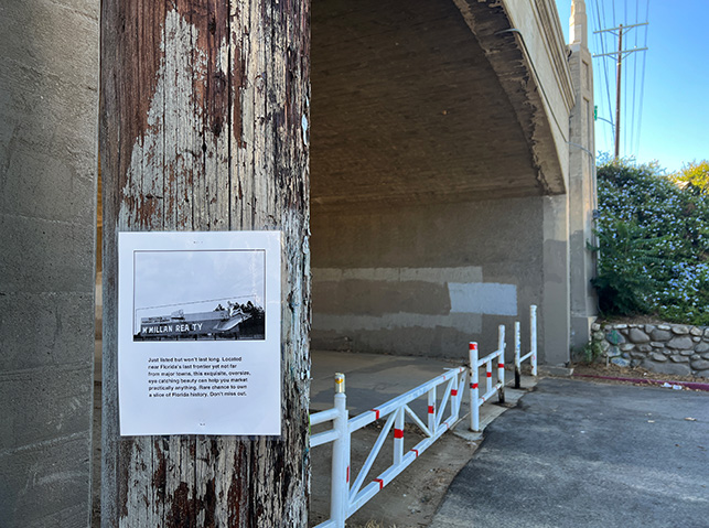 Florida's Last Frontier