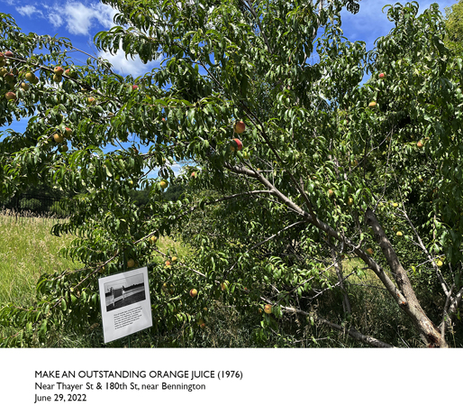 42_31_CP_Near Thaye#146A078