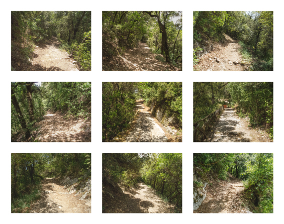 05_trail w sunlight