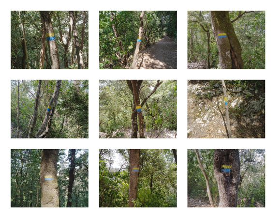 08_Tree markers