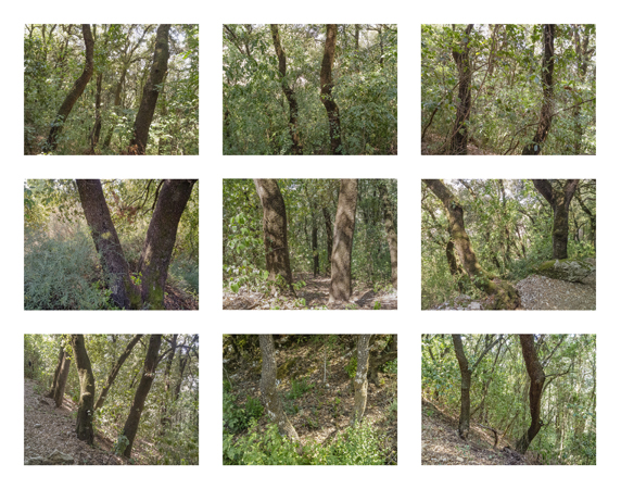 18_2 trees