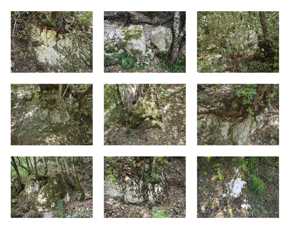 37_rocks & Trees