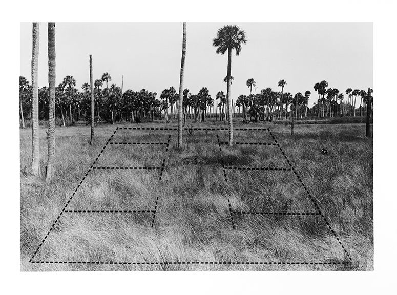 16_Untitlted_1976-palms